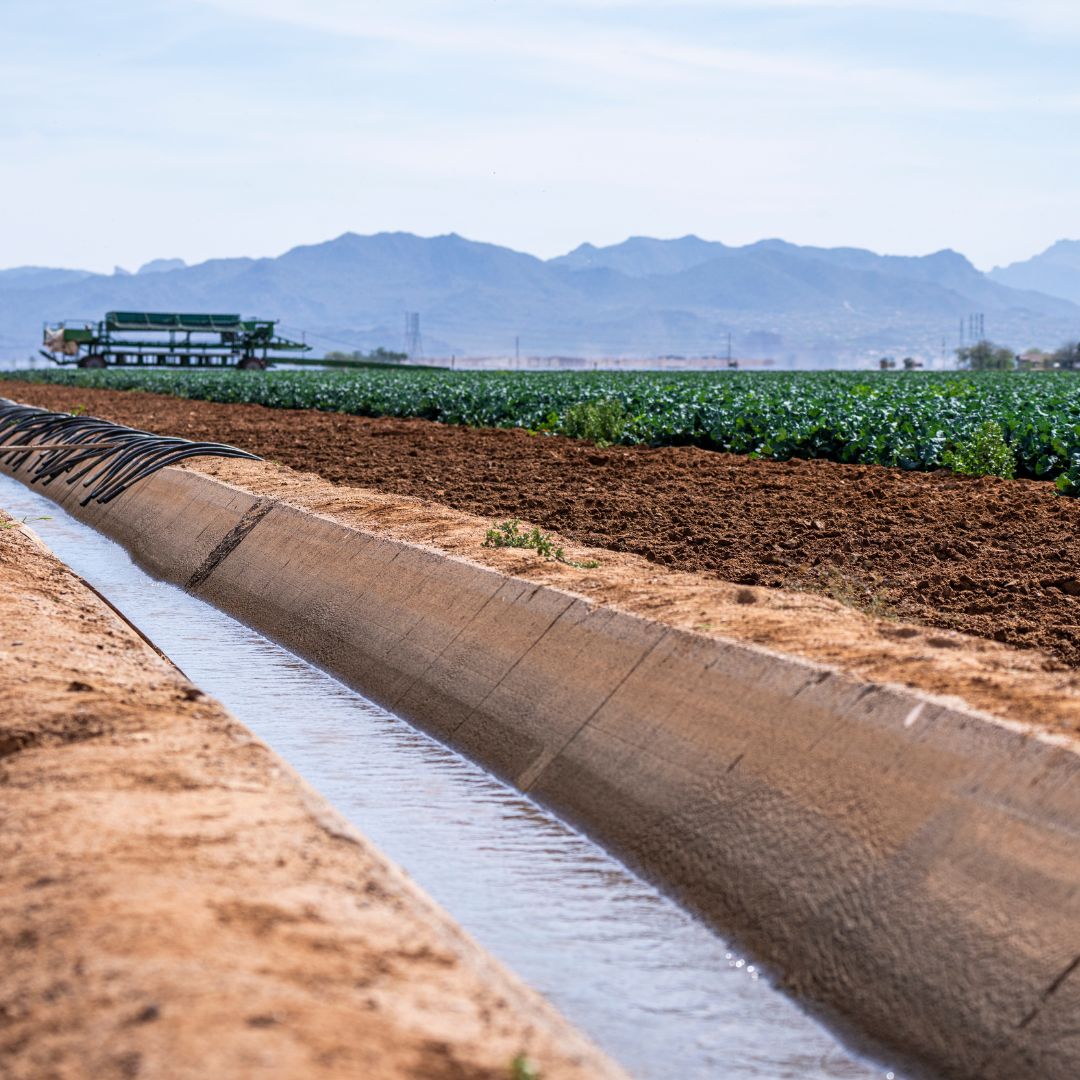 irrigation scheme